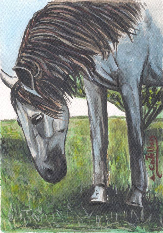 EL CABALLO - 28 de julio de 2015