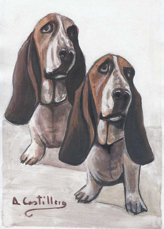 VIDA DE PERROS - 16 de septiembre de 2015