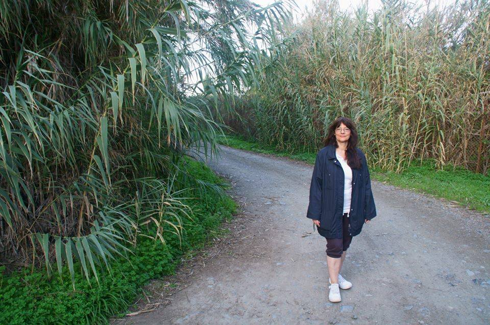 REFLEXIONANDO EN UNA TARDE TRANQUILA DE DOMINGO - 17 de enero de 2016