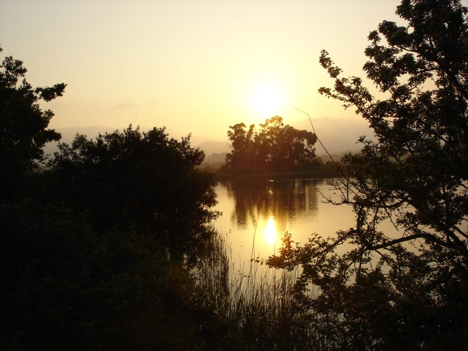 UN SIMPLE PENSAMIENTO - 25 de diciembre de 2012