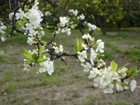NI CREIDA NI VANIDSA, SIMPLEMENTE ORGULLOSA - 13 de abril de 2013