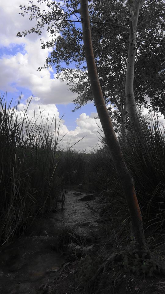 EL SIGNIFICADO DE LA AMISTAD EN FACEBOOK  - 14 de noviembre de 2016  