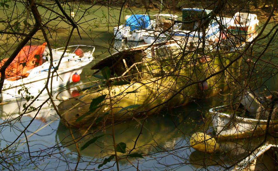 LA ENSENADA DE LOS BARCOS OLVIDADOS -cuento- 28 de febrero 2017