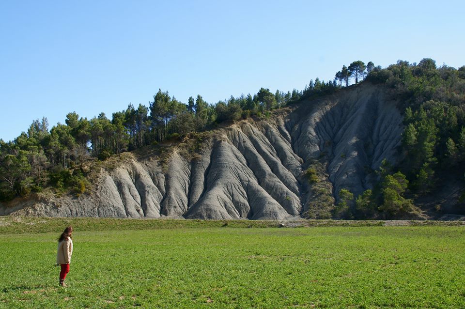 ENTRE USUARIOS Y AMISTADES DE FACEBOOK EL RESPETO ES MUY IMPORTANTE - 26 de febrero 2017
