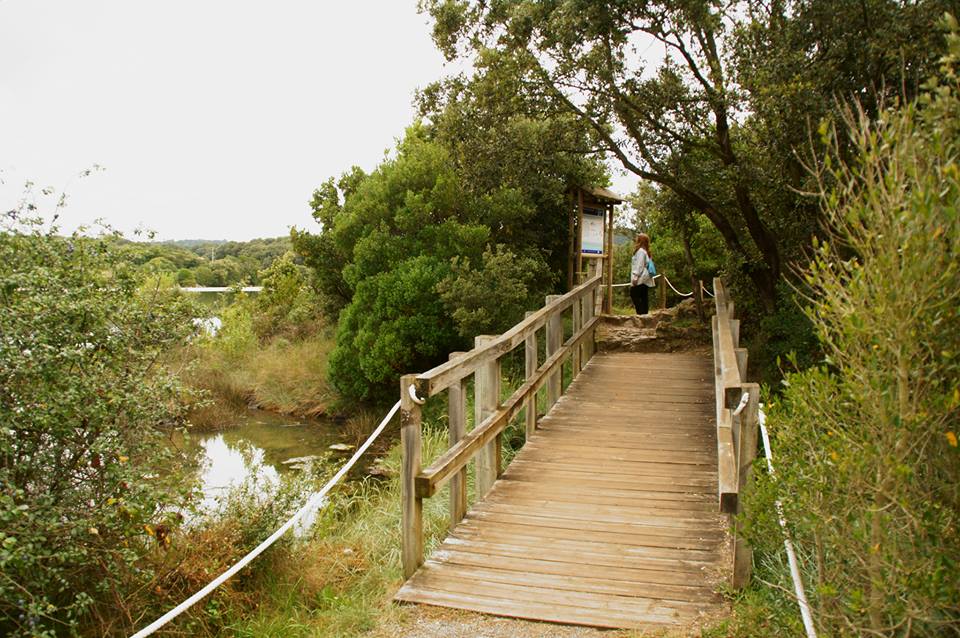 Normas de comportamiento.