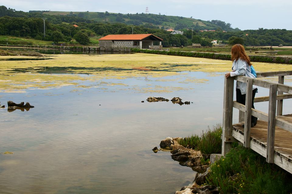 Molino de Santa Olaja. 