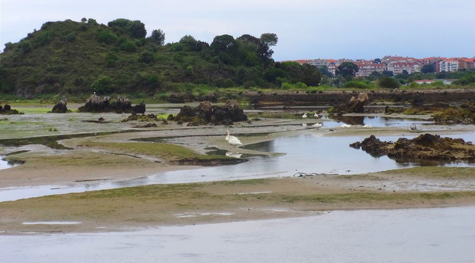 Pero antes de enseñaros el edificio... no digáis que no es precioso, al fondo la población de Noja.