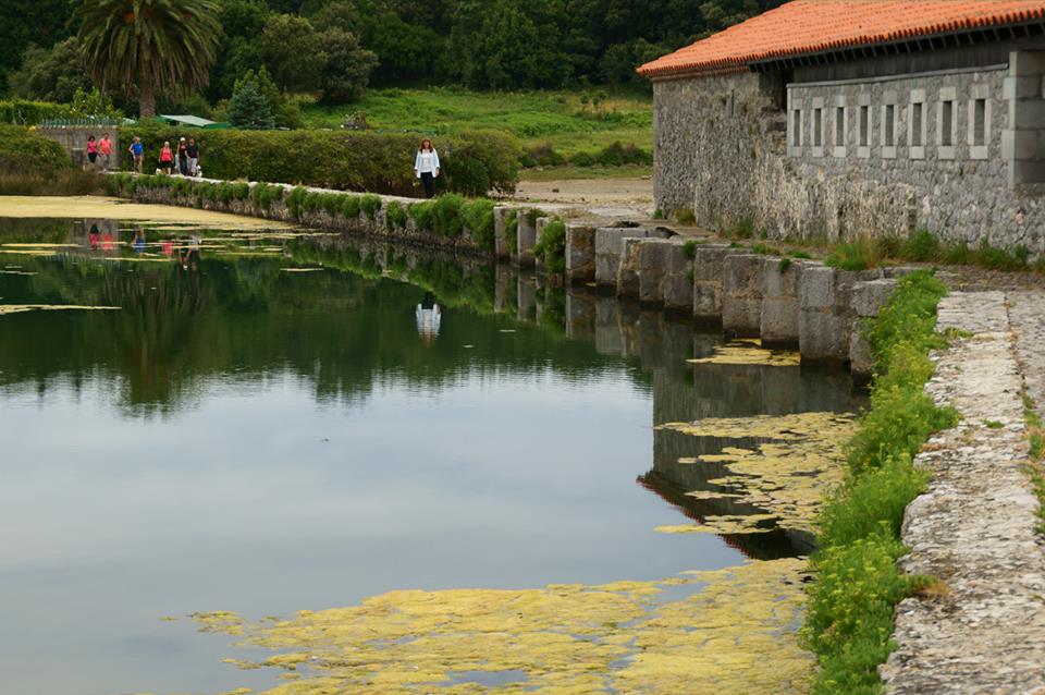 Y ahora el molino...