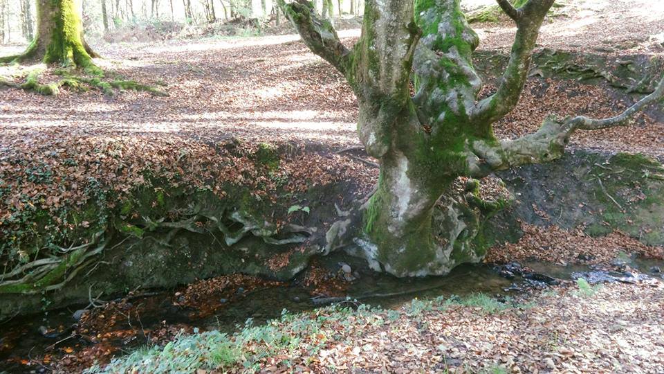 HACE MÁS DE 50 AÑOS ATRÁS...