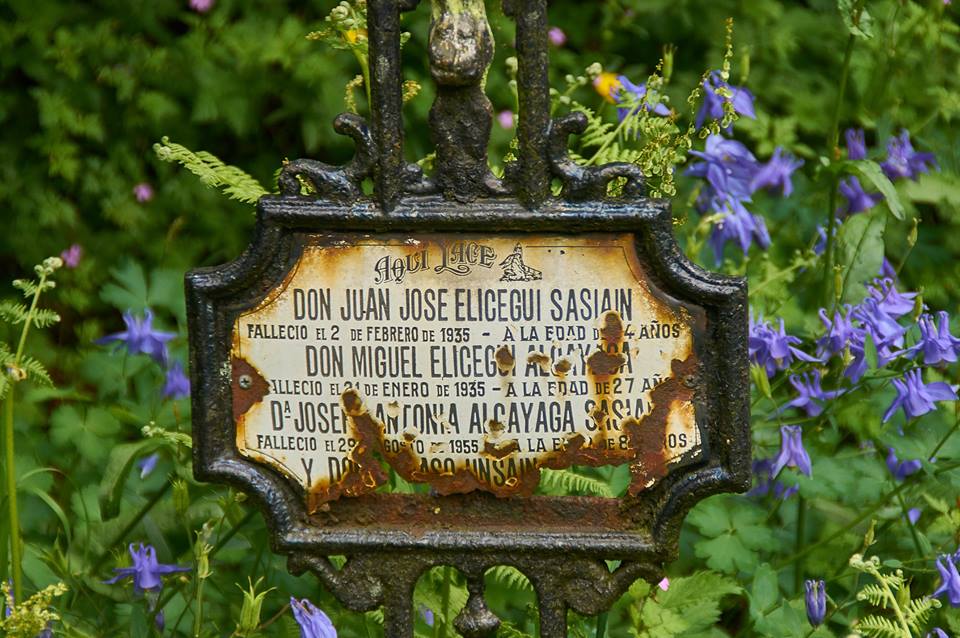 FAMILIA DEL GIGANTE DE ALTZO