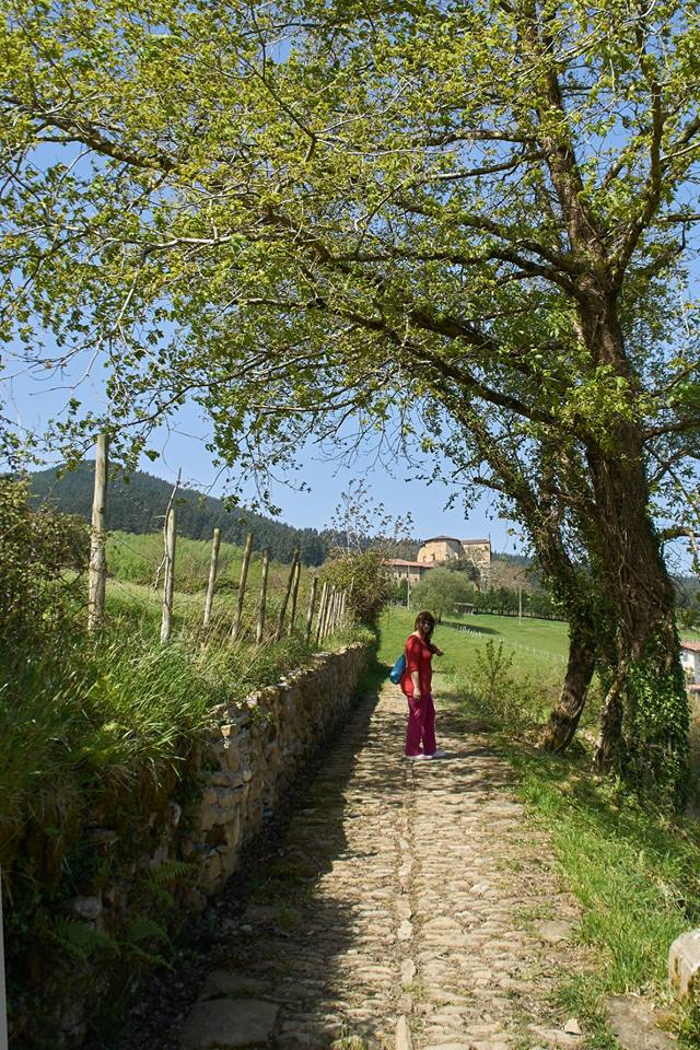 LLEGANDO A LA COLEGIATA
