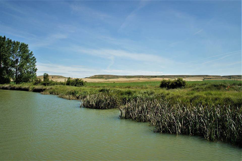 NAVEGANDO POR EL CANAL