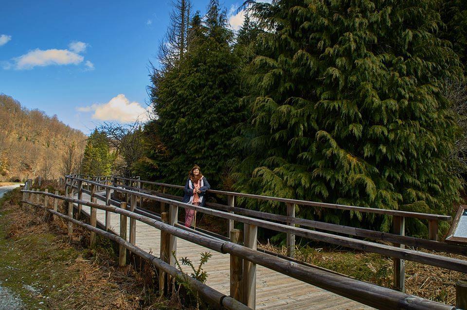 TRAMPAL EN EL HUMEDAL