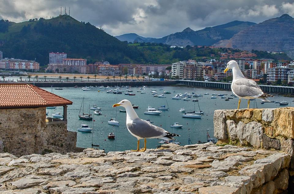 VISTAS DESDE EL FARO