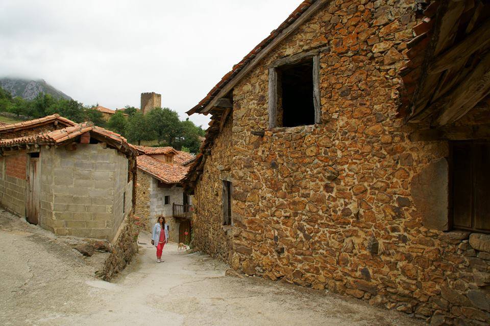 LOS SEÑORES DE MOGROVEJO