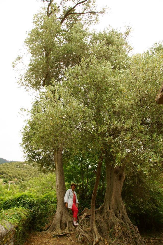 DON ALFONSO Y DOÑA JUSTA