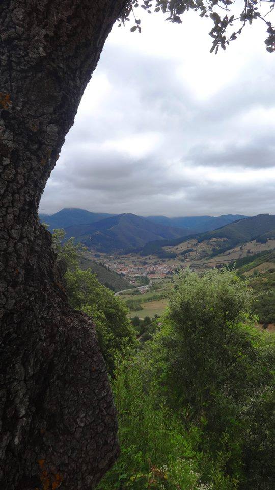 VISTAS DESDE EL MONASTERIO