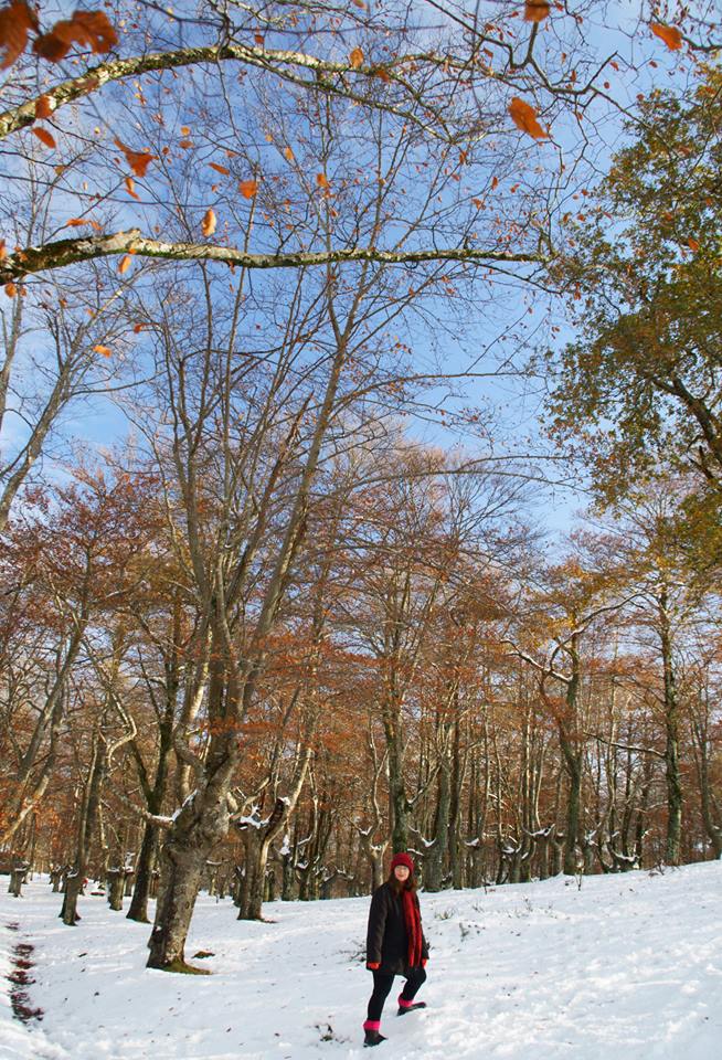 UN ENCUENTRO SORPRENDENTE
