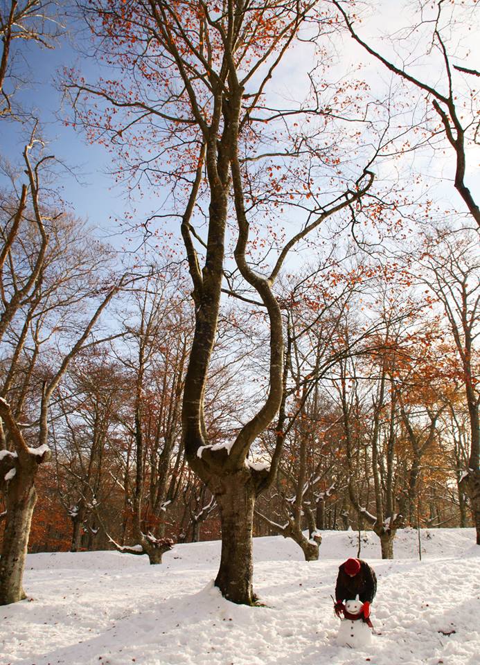 EL PEQUEÑO DE LA FAMILIA