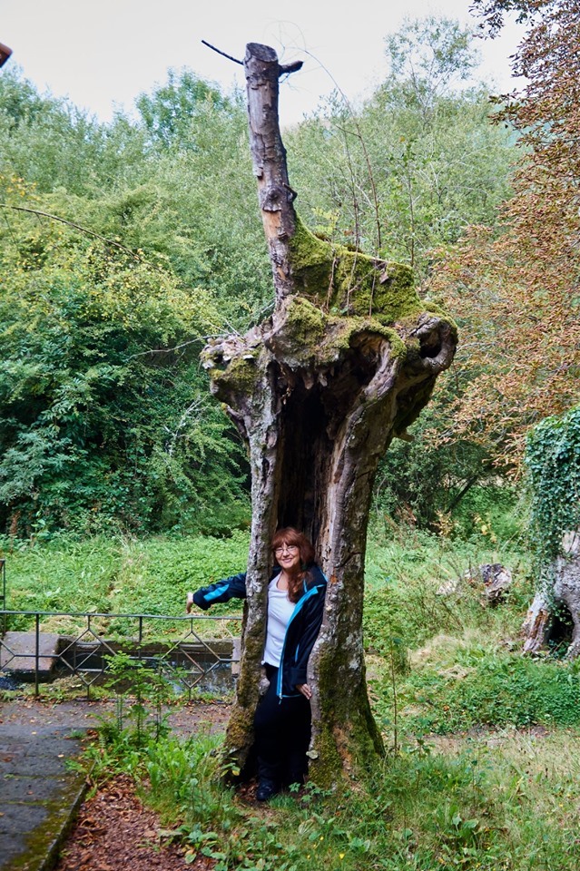 OJALÁ FUERA UN ÁRBOL -  25 de septiembre  2019